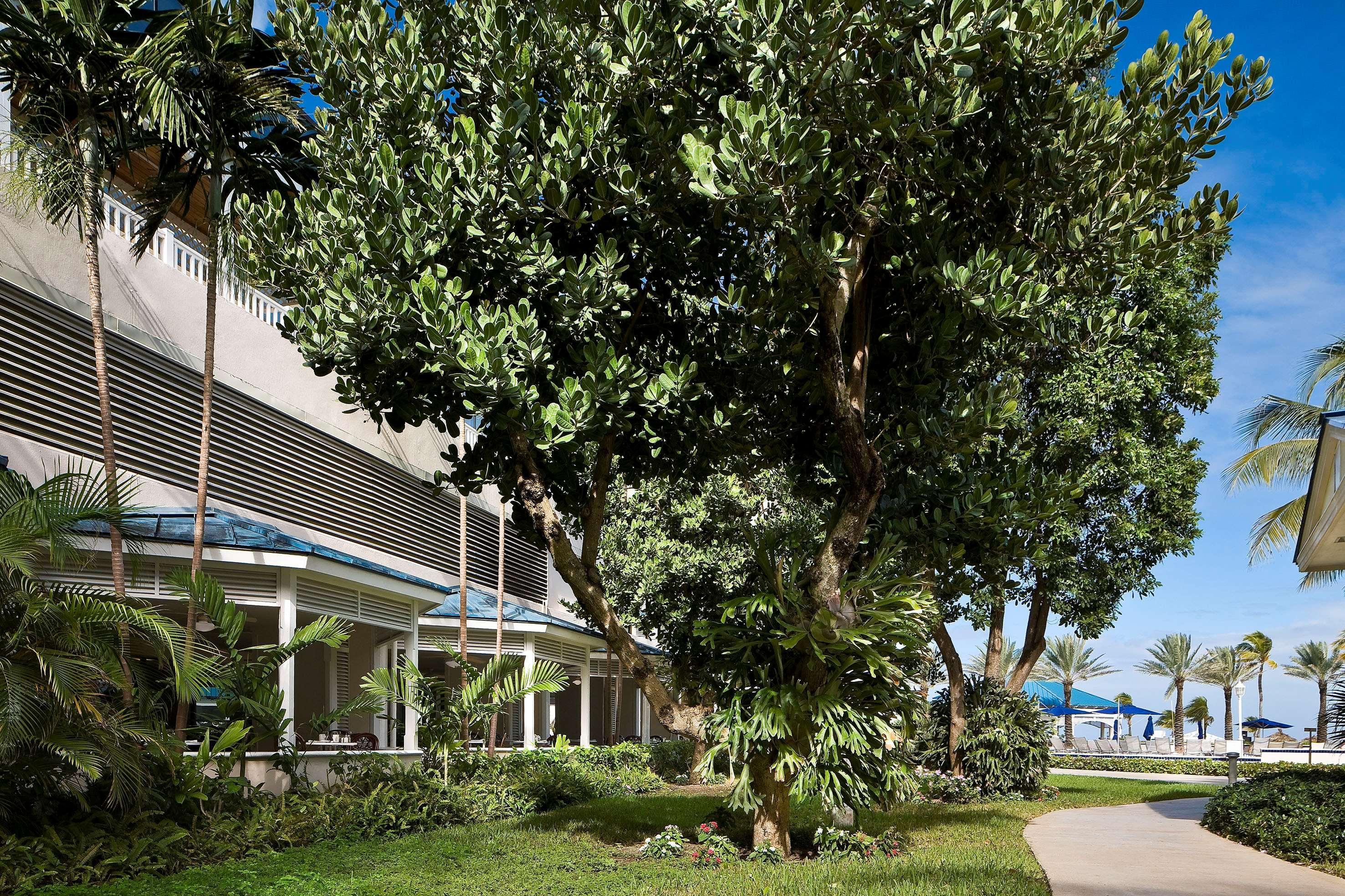 Melia Nassau Beach Exterior foto